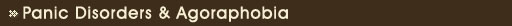 Agoraphobia